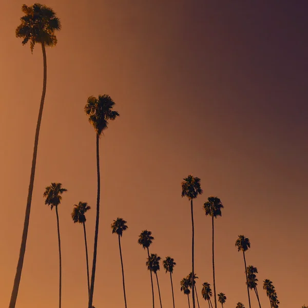 Demos For LA