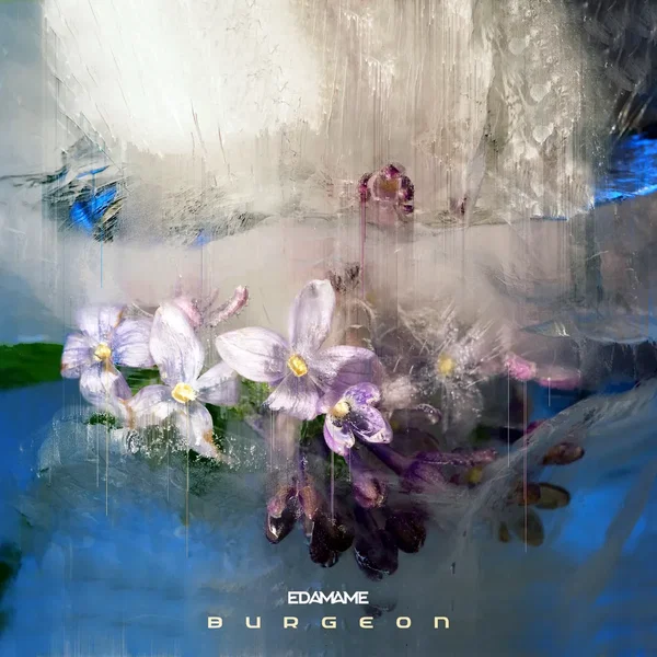 Burgeon