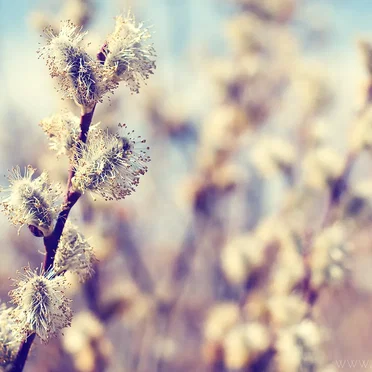 Come With Me (Slowed + Reverb)