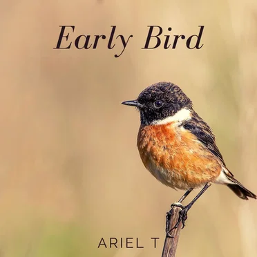Early Bird