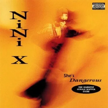 She's Dangerous by Nini X - album cover