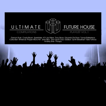 Future House Playlist, Volume 1 by Various Artists - album cover