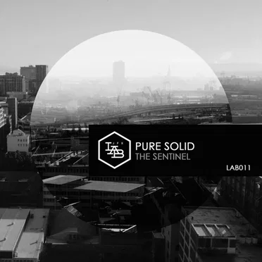 The Sentinel by Pure Solid - album cover