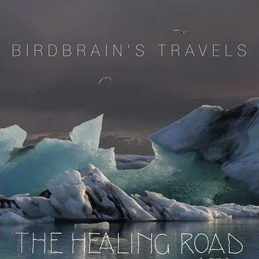 Birdbrain’s Travels