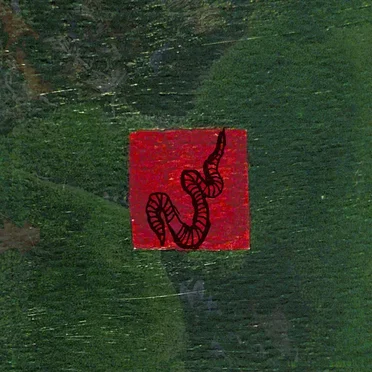 WORM