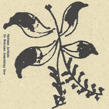 To Welcome Something New by Various Artists - album cover