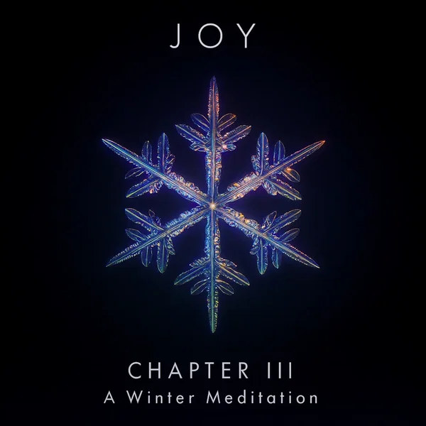 JOY – Chapter III: A Winter Meditation (Winter Solstice Edit)