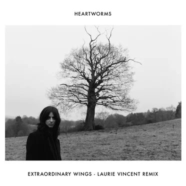 Extraordinary Wings (Laurie Vincent remix)