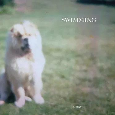Swimming by Swimming - album cover