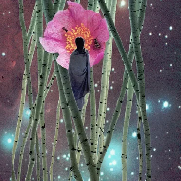 Nebulae