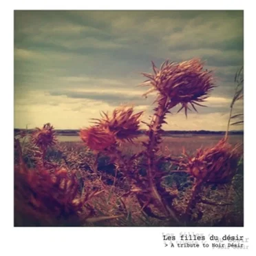 Les Filles du Désir by Various Artists - album cover