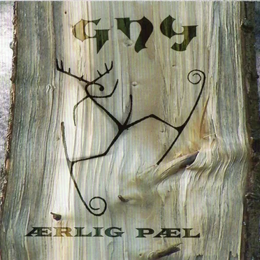 Ærlig Pæl by Gny - album cover
