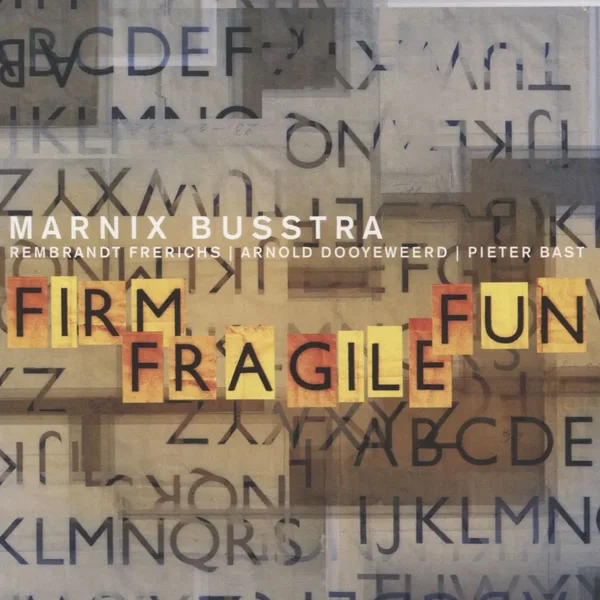 Firm Fragile Fun