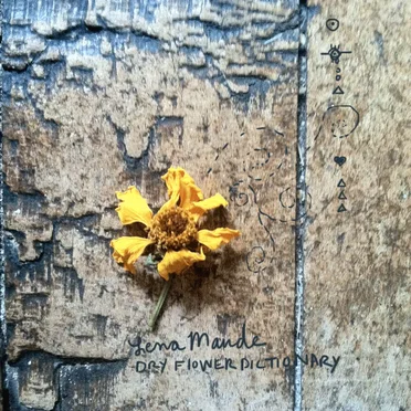 Dry Flower Dictionary