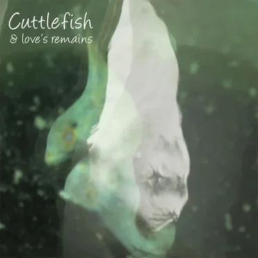 Cuttlefish and Love's Remains by The Bitter Springs - album cover