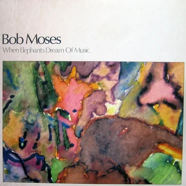 When Elephants Dream of Music