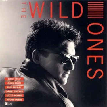 The Wild Ones by Various Artists - album cover