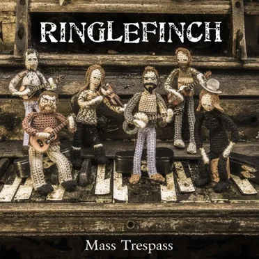 Mass Tresspass by Ringlefinch - album cover