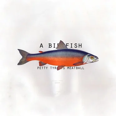 A Birdfish by Petty Tyrants Meatball - album cover