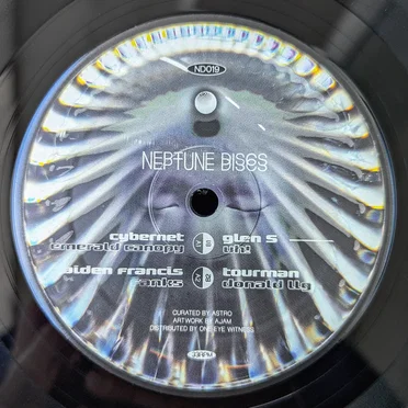 Neptune Discs, Vol. 9 by Various Artists - album cover