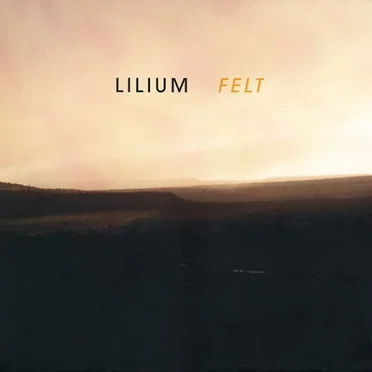 Felt