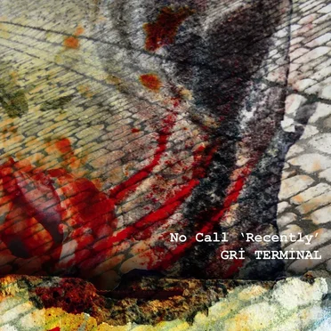 Gri Terminal by No Call ‘Recently’ - album cover