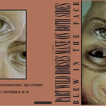 Blew in the Face by Part Wild Horses Mane on Both Sides - album cover
