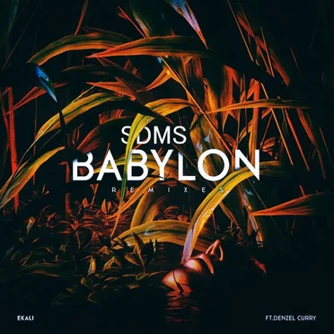 Babylon (SDMS remix)