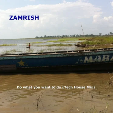 Do What You Want to Do (Tech House mix) by Zamrish - album cover