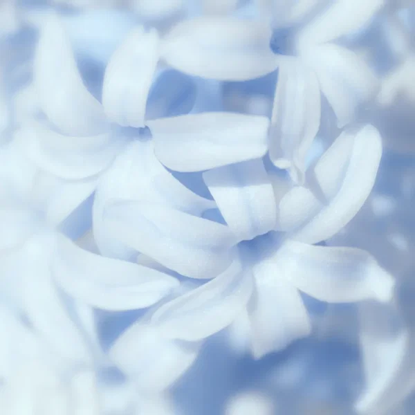 the burial of the deadname