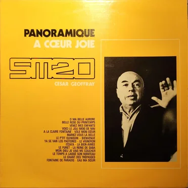 Panoramique A Cœur Joie by Various Artists - album cover