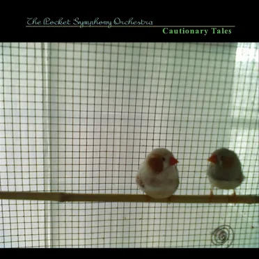 Cautionary Tales by The Pocket Symphony Orchestra - album cover