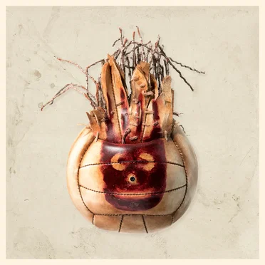Lost Wilson