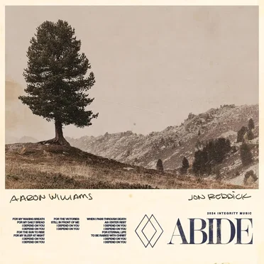Abide by Aaron Williams - album cover