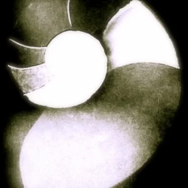 Nautilus by Nautilus - album cover