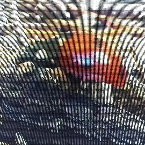 Ladybug November