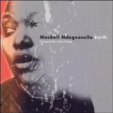 Earth by Me’Shell NdegéOcello - album cover