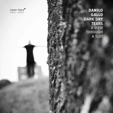 A View Through a Slot by Danilo Gallo Dark Dry Tears - album cover