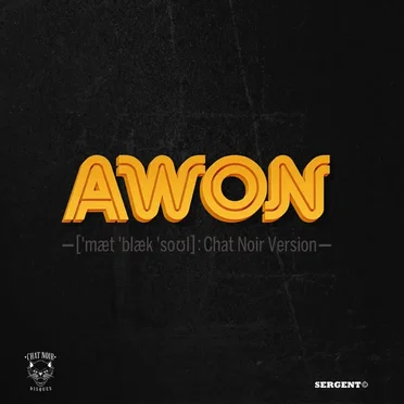 Matte Black Soul : Chat Noir Version