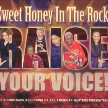 Raise Your Voice! by Sweet Honey in the Rock - album cover