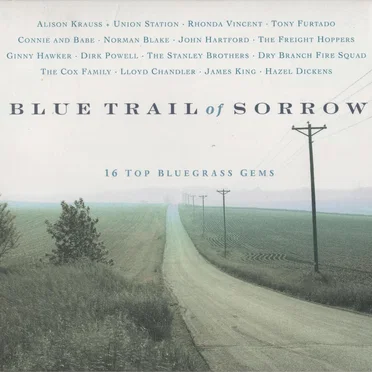 Blue Trail of Sorrow: 16 Top Bluegrass Gems by Various Artists - album cover