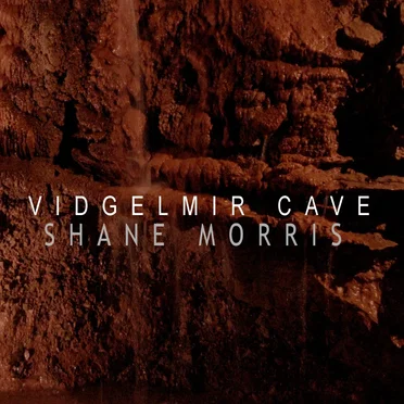 Vidgelmir Cave