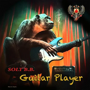 Guitar Player by Solt B.B. - album cover