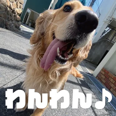 わんわん♪