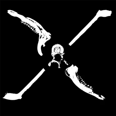 Bones EP by Stick in the Wheel - album cover