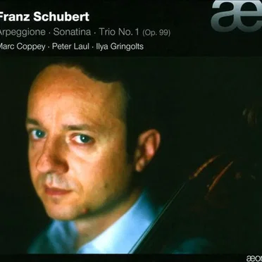 Arpeggione / Sonatina / Trio no. 1, op. 99