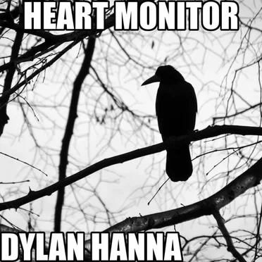Heart Monitor