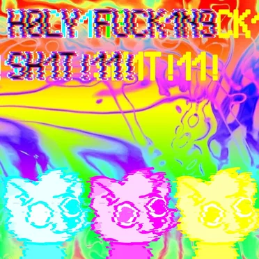 H0LY FUCK1N9 SH1T!11!