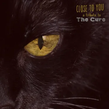 Close to You: Tribute to The Cure by Various Artists - album cover