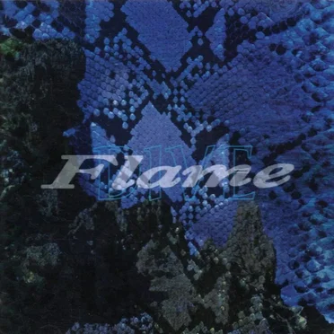 Flame